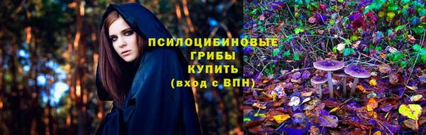 мдма Белокуриха