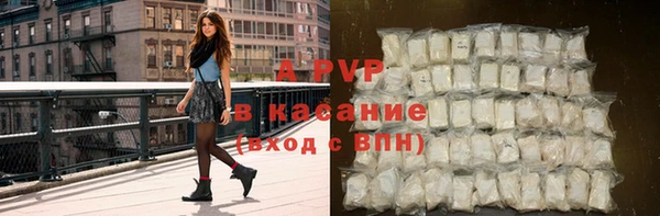 мдпв Новозыбков