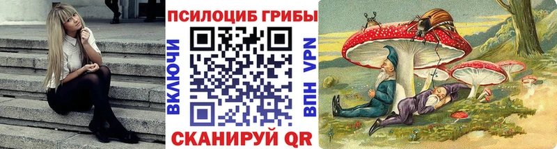 Псилоцибиновые грибы Magic Shrooms  купить наркотик  Михайлов 